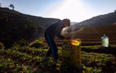 اختناق مضيق هرمز.. كيف يهدد موائد العالم؟
